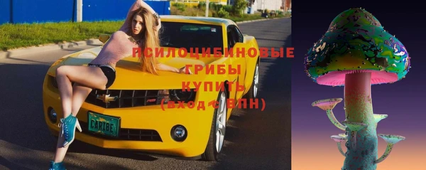 герыч Алексин