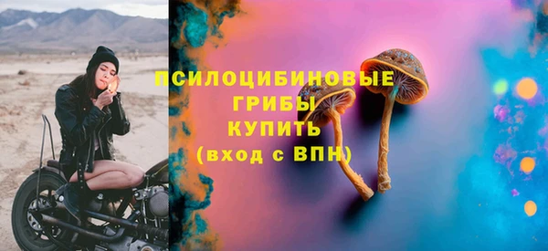 герыч Алексин
